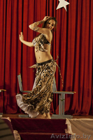 Восточный танец на вашем торжестве - Изображение #3, Объявление #843933