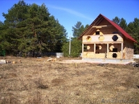 Продается двухэтажный сруб(брус) под крышей, р-р 10*9 под чистовую отделку. Пухо - Изображение #3, Объявление #843089