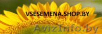 Интернет-магазин Все семена в минске - Изображение #5, Объявление #837781