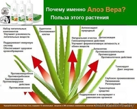  Германская компания LR - Изображение #3, Объявление #852446