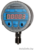 Прецизионный цифровой манометр ДМ5002М - Изображение #1, Объявление #867902