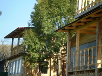 Продаётся усадьба в Витебской области д. Плино. - Изображение #3, Объявление #854419