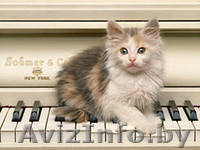 фортепианный настройщик  333253656 - Изображение #2, Объявление #891477