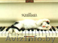 фортепианный настройщик  333253656 - Изображение #3, Объявление #891477