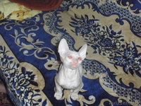 срочно продам котят породы корниш-рекс - Изображение #2, Объявление #886857