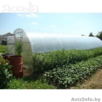 Теплица под поликарбонат 6x3x2 (Комплект: каркас+поликарбонат) - Изображение #2, Объявление #890158