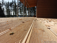 Доска пола,паркета, террасы, палубы, строганая, обрезная технической сушки из со - Изображение #1, Объявление #907428