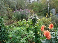 Дом в д. Сыроевщина 5 км от Логойска - Изображение #6, Объявление #904769