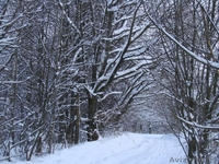 Дом в д. Сыроевщина 5 км от Логойска - Изображение #8, Объявление #904769