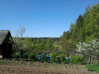 Пасека. Семьи пчел. Инвентарь пчеловода. Срочно. Недорого. - Изображение #3, Объявление #907376