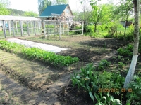 Дача в красивом месте,Зеленом - Изображение #2, Объявление #907450