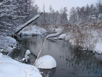 Дом в д. Сыроевщина 5 км от Логойска - Изображение #9, Объявление #904769