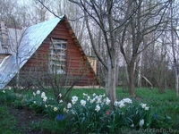 Дом в д. Сыроевщина 5 км от Логойска - Изображение #4, Объявление #904769