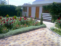 Отдых на Черном Море. Минигостиница Мартиника - Изображение #2, Объявление #916406