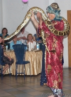 Тамада-Ведущий-Аккордеонист на юбилей, на свадьбу и любая музыка (3в1) - Изображение #5, Объявление #696716