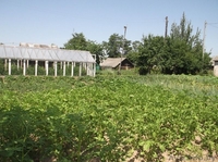 Добротный дом в красивом месте - Изображение #9, Объявление #932135