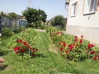 Добротный дом в красивом месте - Изображение #7, Объявление #932135