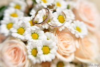 Фотосъёмка. Яркие свадебные фото для Вас! Разные пакеты по стоимости. - Изображение #1, Объявление #935102