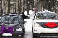 Украшения на машины жениха и невесты! - Изображение #1, Объявление #949368