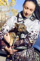 Малыш-осень Муха ищет дом! - Изображение #8, Объявление #983044