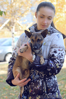 Малыш-осень Муха ищет дом! - Изображение #9, Объявление #983044