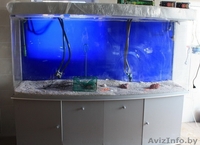 Аквариум 850л. Полный комплект - Изображение #1, Объявление #968423