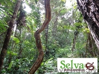 Самое незабываемое путешествие - Изображение #3, Объявление #985044