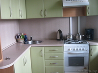 Посуточно 1 ком.квартира ст.метро Спортивная - Изображение #4, Объявление #982926