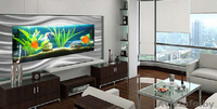 Настенные декоративные аквариумы - Изображение #3, Объявление #967143