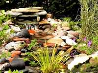 Устройство ландшафтных водоемов, прудов, фонтанов. - Изображение #3, Объявление #988341