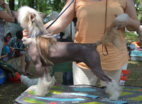 КХС-Ваш талисман, от беды хранящий! - Изображение #7, Объявление #1008453