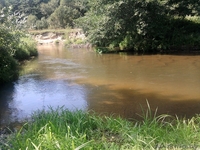 Усадьба в Налибокской пуще, 50км от МКАД - Изображение #8, Объявление #1033165