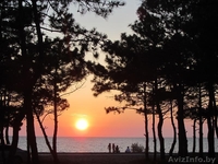 Крым. Недорогой семейный отдых в палаточном лагере на Чёрном море - Изображение #10, Объявление #706417