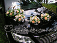 Украшение залов от салона свадебного декора Секрет счастья - Изображение #5, Объявление #865050