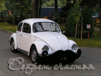 Украшение залов от салона свадебного декора Секрет счастья - Изображение #6, Объявление #865050