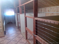 Гостиница для собак Floston-dog - Изображение #1, Объявление #1033586