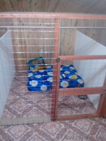 Гостиница для собак Floston-dog - Изображение #2, Объявление #1033586