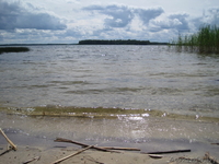 Дача в нац. парке "Браславские озера" - Изображение #2, Объявление #1041979