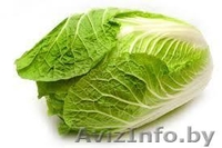 ЧПТУП "Свежая зелень" - Изображение #7, Объявление #1065320