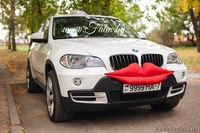 Украшения на машины, автомобили, кортеж в Минске. Прокат. - Изображение #1, Объявление #1062794