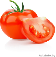 веб-дизайн, разработка сайтов, визиток, логотипов, банеров, редакция фотографий - Изображение #5, Объявление #1060478