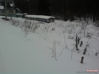 Красивый участок, крайний к лесу, с возможностью круглогодичного проживания - Изображение #2, Объявление #1070880