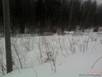 Красивый участок, крайний к лесу, с возможностью круглогодичного проживания - Изображение #3, Объявление #1070880