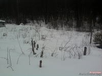 Красивый участок, крайний к лесу, с возможностью круглогодичного проживания - Изображение #6, Объявление #1070880