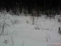 Красивый участок, крайний к лесу, с возможностью круглогодичного проживания - Изображение #4, Объявление #1070880
