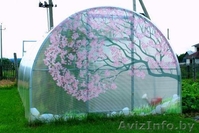 Теплицы "На зависть" из оцинкованной трубы 40х20. - Изображение #1, Объявление #1066374