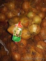 Картофель,морковь,свекла,лук "МИСТЕР ОВОЩ". - Изображение #4, Объявление #1072455