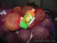 Картофель,морковь,свекла,лук "МИСТЕР ОВОЩ". - Изображение #2, Объявление #1072455