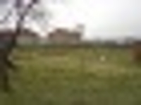 земля под постройку дачи-дома - Изображение #2, Объявление #1072700