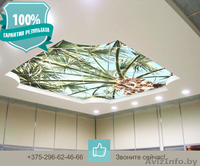 Нанесение изображения на потолочные панели и потолок армстронг  - Изображение #1, Объявление #1094141